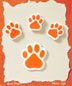 S1018 - Orange Paws - Flat Backed Resin Scrapbook Embellishment Set