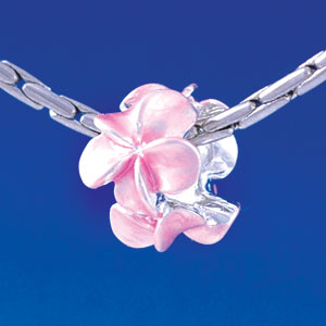 B1370 tlf - Pearl Pink Plumerias - Silver Plated Large Hole Bead