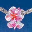 B1455 tlf - Hot Pink & Orange Plumerias - Silver Plated Large Hole Beads