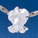 B1458 tlf - Pearl White Plumerias - Silver Plated Large Hole Beads