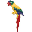 Tropical Animals