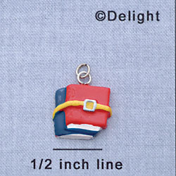 7102 - Books - Belt  - Resin Charm