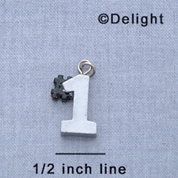 7187 - #1 - Silver  - Resin Charm