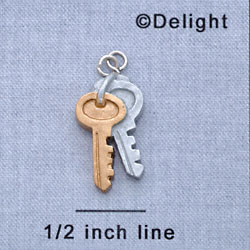 7225 - Keys - Resin Charm