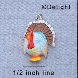 7482* tlf - Turkey - Washed Resin Charm