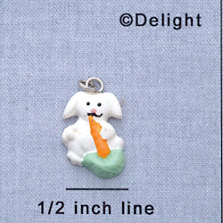 7505 - Bunny - Carrot  - Resin Charm