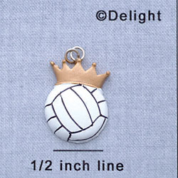 7729 - Volleyball With Crown  - Resin Charm