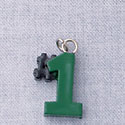 7028 - #1 - Green  - Resin Charm