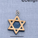 7082 - Star Of David - Resin Charm