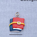 7102 - Books - Belt  - Resin Charm