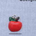 7171* - Apple - Resin Charm