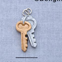 7225 - Keys - Resin Charm