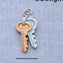 7225 - Keys - Resin Charm