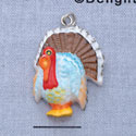 7482* tlf - Turkey - Washed Resin Charm