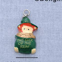 7487 - Leprechaun - Pot Luck O'  - Resin Charm