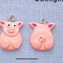 7531 tlf - Pig - Front & Back Assortment - Resin Charm