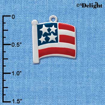 C1002 - Flag Usa - Silver Charm
