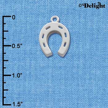 C1013 - Horseshoe - - Silver Charm