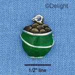 C1015 - Pot O'Gold - - Silver Charm