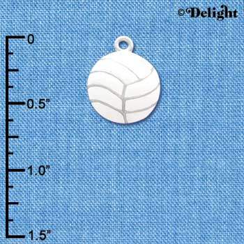 C1069 - Volleyball - Silver Charm
