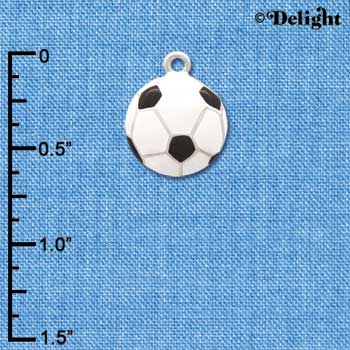 C1070 - Soccerball - - Silver Charm