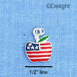 C1192 - Apple - Usa - Silver Charm Mini