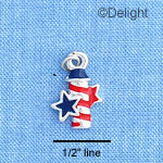 C1194 - Firecracker - Usa - Silver Charm Mini