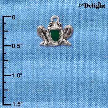 C1260 - Frog - Front - Silver Charm