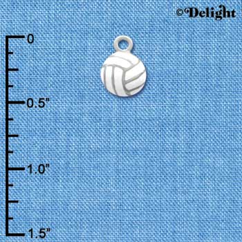 C1312 - Volleyball - - Silver Charm Mini