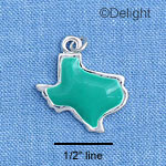 C1429 - Texas - Teal - Silver Charm