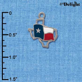 C1434 - Texas - Outline Flag - Silver Charm