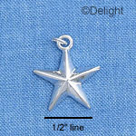 C1435* - Star - Raised - Silver Charm