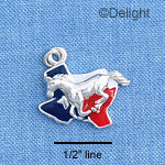 C1458 - Texas - Horse - Silver Charm