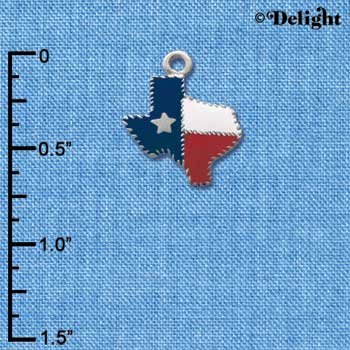 C1461 - Texas - Fancy Edging - Silver Charm