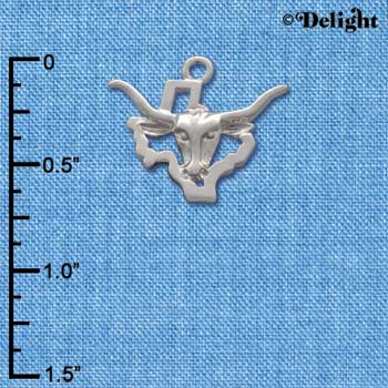 C1639 - Longhorn - Texas - Silver Charm