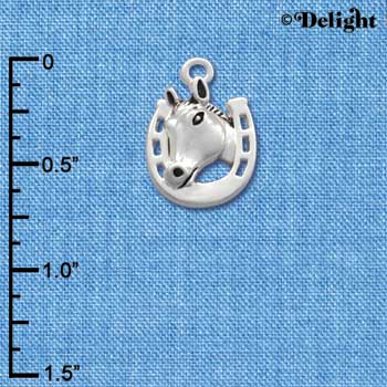 C1679* - Horsehead - Horseshoe - Silver Charm