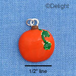 C1795 - Pumpkin - - Silver Charm