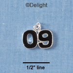 C1828 - Year - '09 Black - Silver Charm