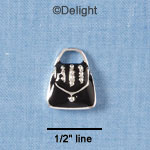 C1922 - Purse - Black With Stripes - Silver Charm