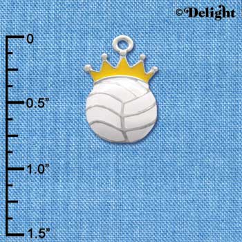 C1970 - Volleyball - Crown - Silver Charm