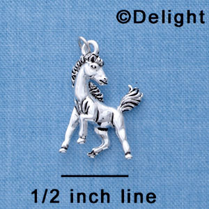 C2039* - Mascot - Mustang - Silver Charm