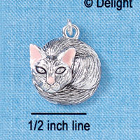 C2220 - Curled Up Cat - Silver Charm