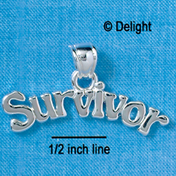 C2648 - Survivor - Pendant with bail - Silver Charm