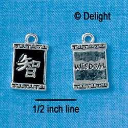 C2684+ - Chinese Character Symbols - Wisdom - Silver Charm