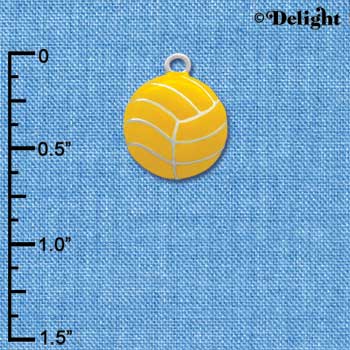 C2766 - Large Water Polo Ball - Silver Charm