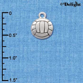 C2893+ - Silver Volleyball - 2 Sided - Silver Charm