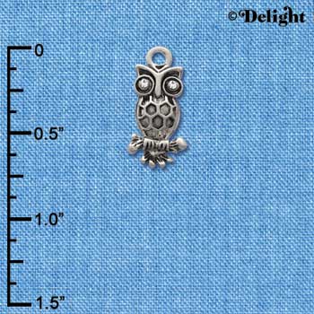 C2895 - Antiqued Silver Owl with Clear Swarovski Crystal Eyes - Silver Charm