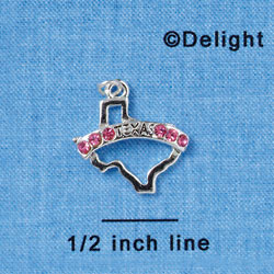 C2995 - 