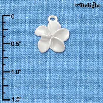 C3259 - Pearl White Plumeria Flower - Silver Charm