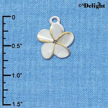 C3264 - Silver Plumeria Flower Gold Edging - Silver Charm